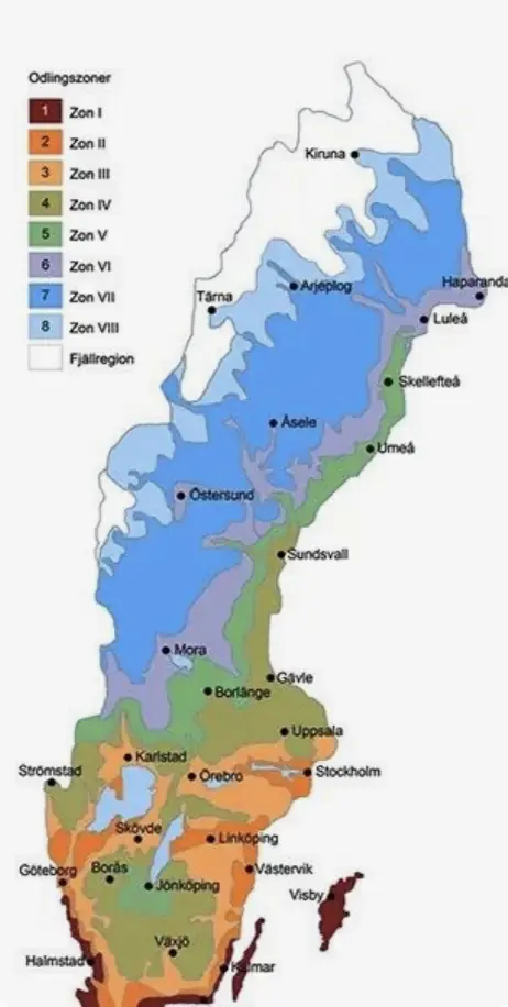 Blommande trädgård i Värmlands klimatzon