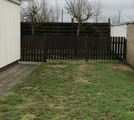 Trädgård med japansk lönn och genomtänkt planering